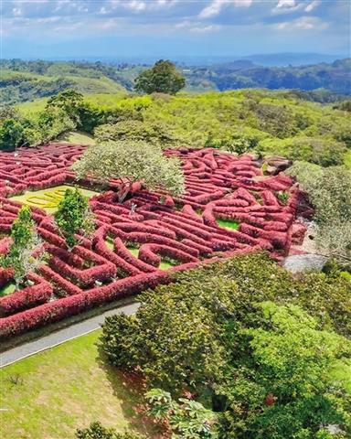 laberinto-mil-caminos-11 - Alquiler de fincas en el quindio