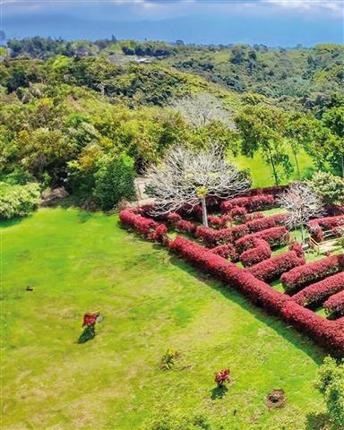 laberinto-mil-caminos-12 - Alquiler de fincas en el quindio