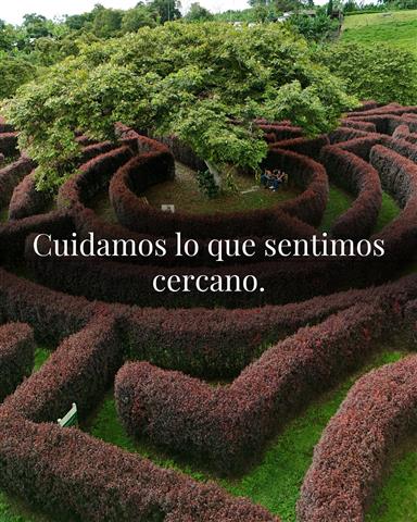 laberinto-mil-caminos-17 - Alquiler de fincas en el quindio