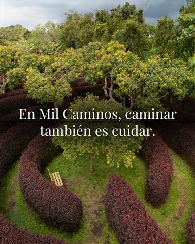 laberinto-mil-caminos-19 - Alquiler de fincas en el quindio