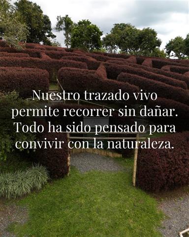 laberinto-mil-caminos-20 - Alquiler de fincas en el quindio