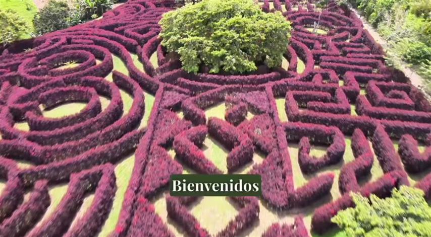 laberinto-mil-caminos-21 - Alquiler de fincas en el quindio