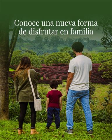 laberinto-mil-caminos-4 - Alquiler de fincas en el quindio