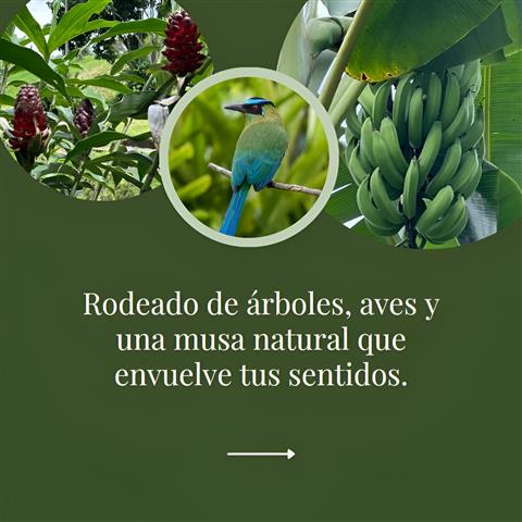 laberinto-mil-caminos-5 - Alquiler de fincas en el quindio