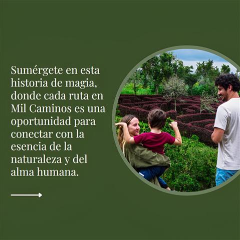 laberinto-mil-caminos-7 - Alquiler de fincas en el quindio