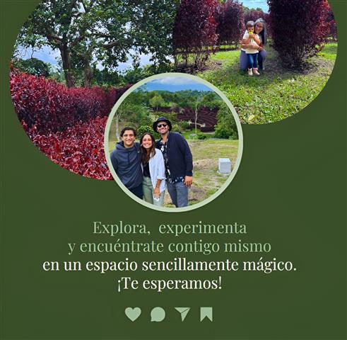 laberinto-mil-caminos-8 - Alquiler de fincas en el quindio