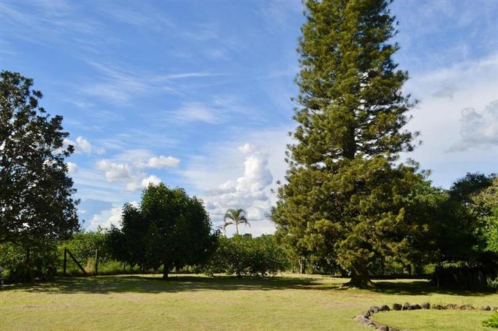 finca-los-guaduales-3 - Alquiler de fincas en el quindio